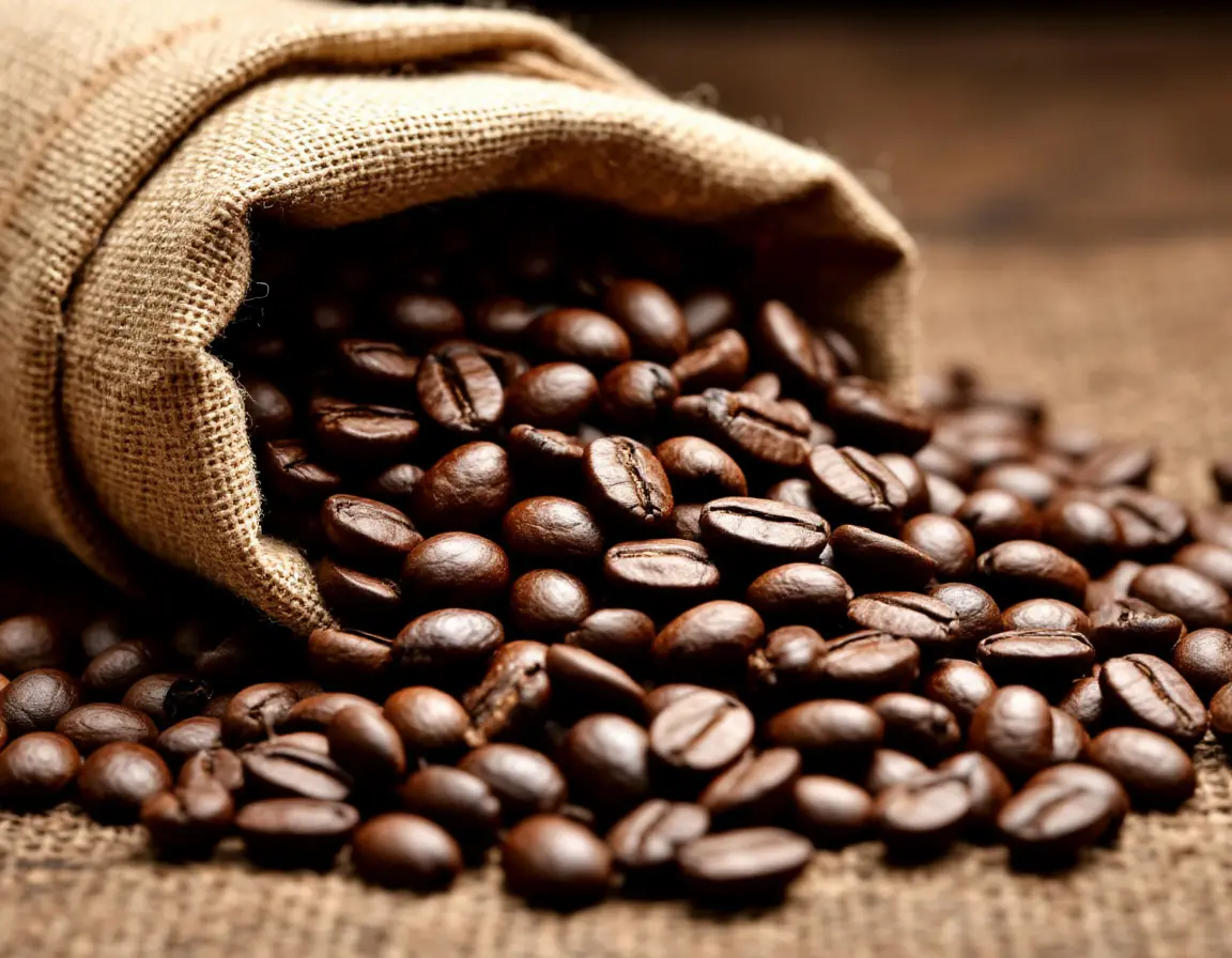 Premium Coffee Beans
